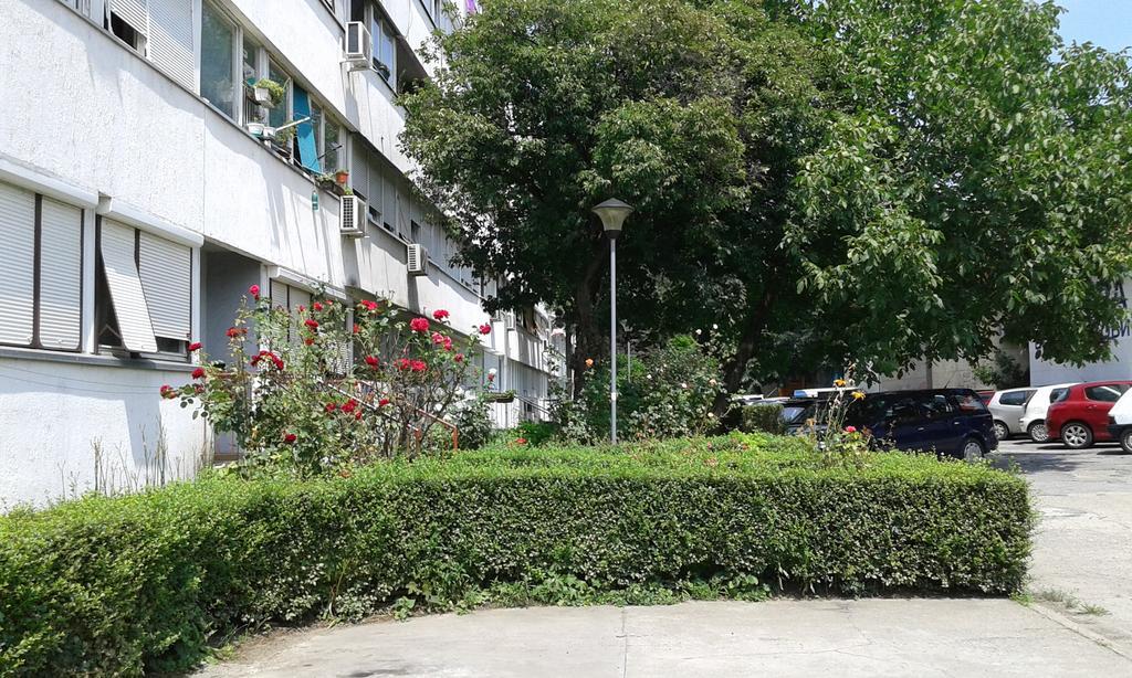 Apartment Daca Stan Bělehrad Exteriér fotografie